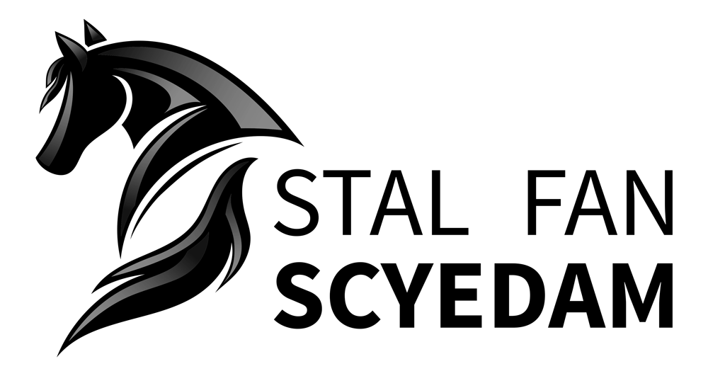 logo-footer